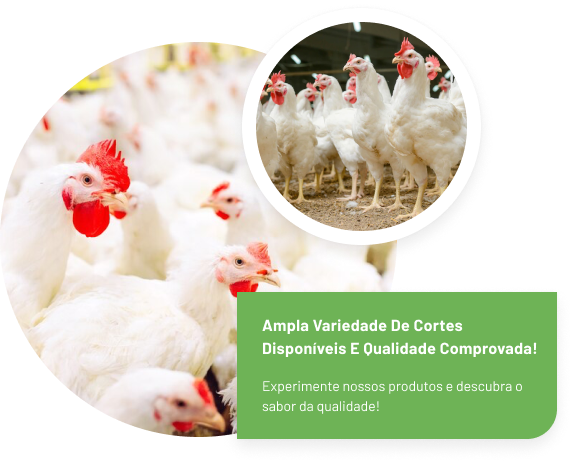 Empresa Empresa