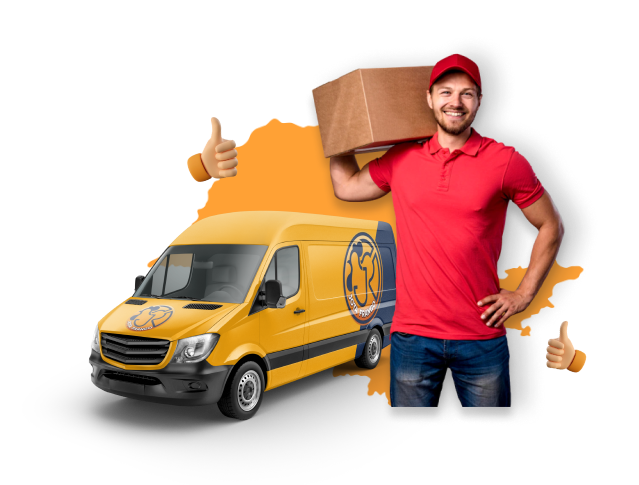 Transporte Transporte